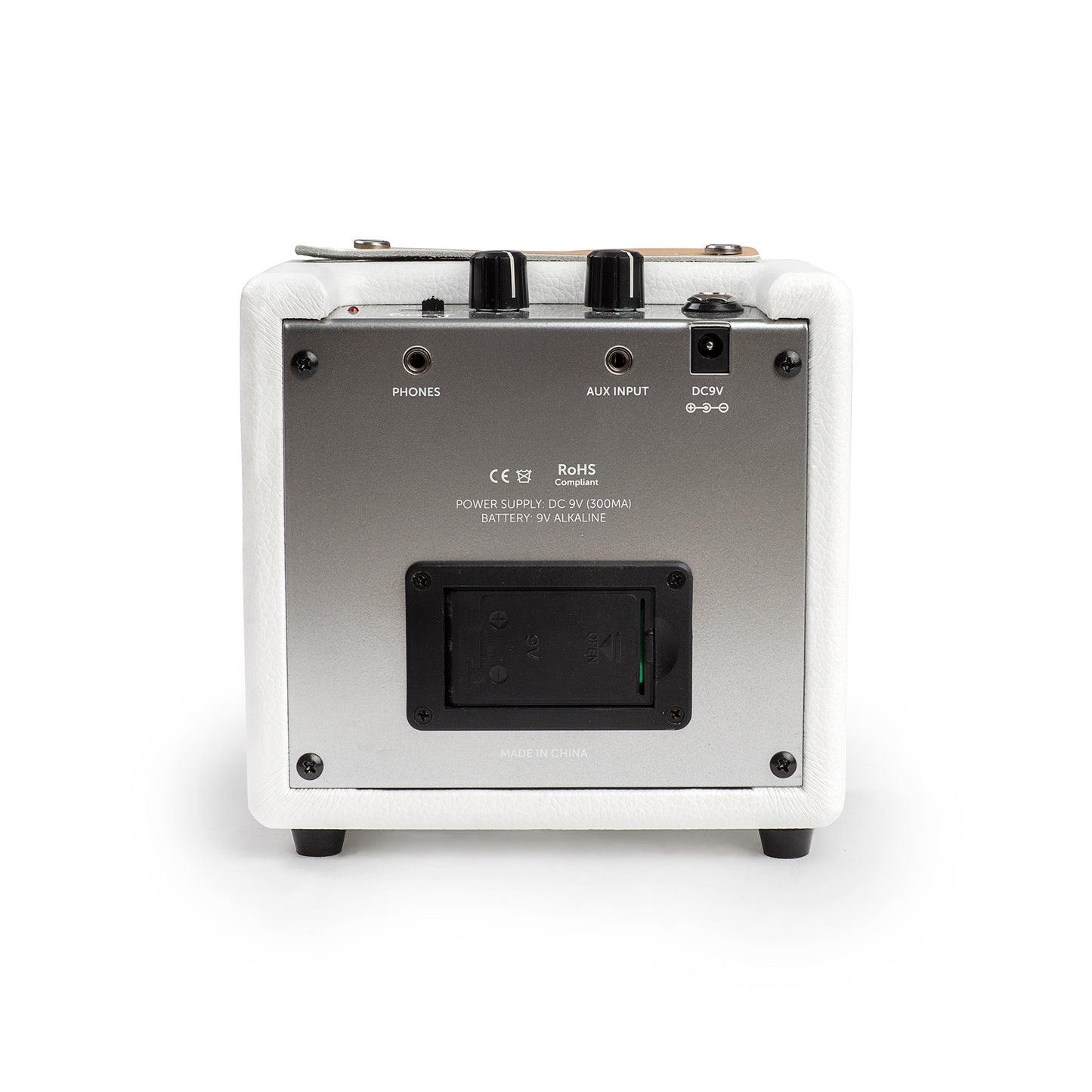 loog mini amp