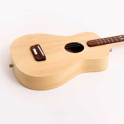 loog pro acoustic