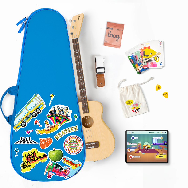 pro acoustic bundle