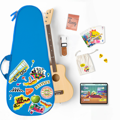pro acoustic bundle